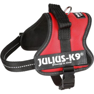 Julius-K9 Imbracatura per cani di piccola taglia ergonomica (mini1, XS, Cane, Generale), Collare + Guinzaglio Julius-K9 Imbracatura per cani di piccola taglia ergonomica (mini1, XS, Cane, Generale), Collare + Guinzaglio