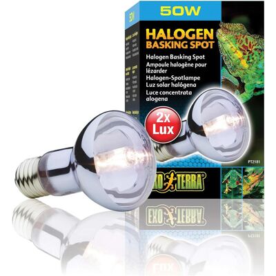 10x Exo Terra Lampada alogena Sun Glo Daylight 75W (UVA), Illuminazione terrario 10x Exo Terra Lampada alogena Sun Glo Daylight 75W (UVA), Illuminazione terrario