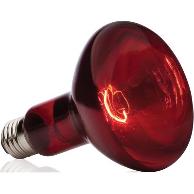 Exo Terra Punto d'abbronzatura a infrarossi R30/150W, Illuminazione terrario Exo Terra Punto d'abbronzatura a infrarossi R30/150W, Illuminazione terrario