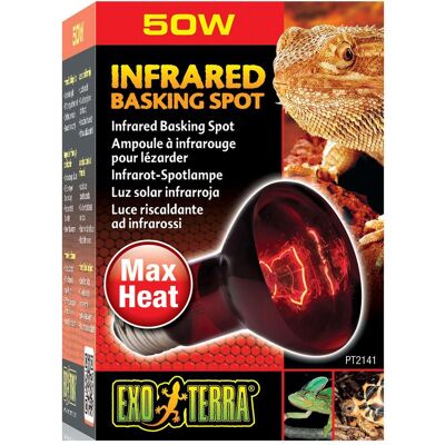 Lampada riscaldante infrarossi Exo Terra 50W - Fonte di calore notturna per rettili Lampada riscaldante infrarossi Exo Terra 50W - Fonte di calore notturna per rettili