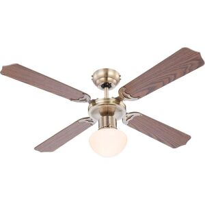 Globo Campione, Ventilatore, Marrone Globo Campione, Ventilatore, Marrone