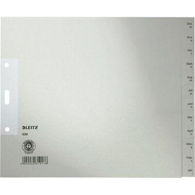 Leitz, Accessori per classificatore, Registro Cartaceo Dic-Jan Hf. Leitz, Accessori per classificatore, Registro Cartaceo Dic-Jan Hf.