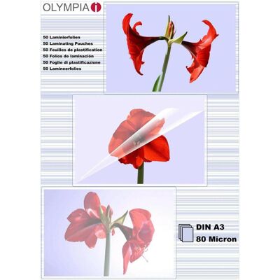 Olympia Pouches di plastificazione, 9174 (A3, 50 pz., 80 µm) Olympia Pouches di plastificazione, 9174 (A3, 50 pz., 80 µm)