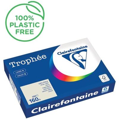 Carta Copiativa Trophée Grigia - A4 160g/m² Clairefontaine Carta Copiativa Trophée Grigia - A4 160g/m² Clairefontaine