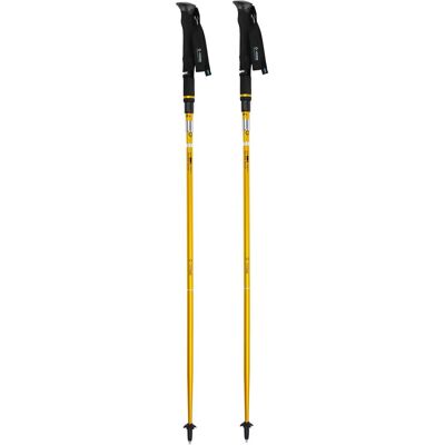 Bastone da trekking regolabile Helinox Passport TL120 - Ultraleggero e pieghevole Bastone da trekking regolabile Helinox Passport TL120 - Ultraleggero e pieghevole