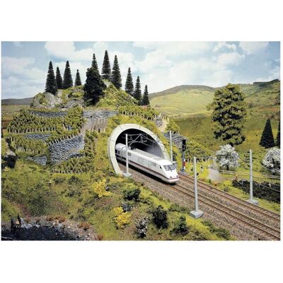 Noch H0 Portale tunnel PROFI plus 2g Noch H0 Portale tunnel PROFI plus 2g