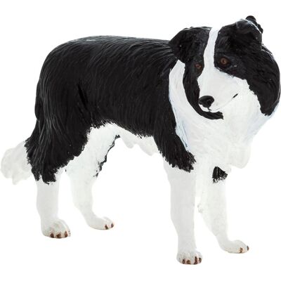 Animal Planet border collie Animal Planet border collie