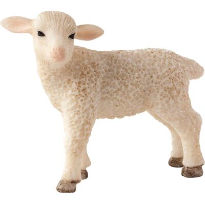 Animal Planet Agnello Animal Planet Agnello
