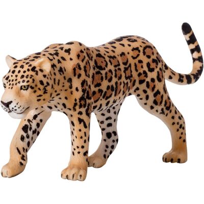 Animal Planet Leopard Animal Planet Leopard