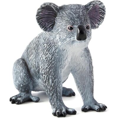 Animal Planet Koala Animal Planet Koala