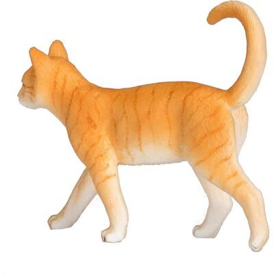 Animal Planet Cat Animal Planet Cat