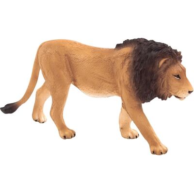 Animal Planet Leone Animal Planet Leone