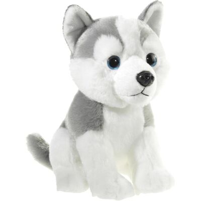 Heunec Medi Mi Husky - Giocattolo in peluche Heunec Medi Mi Husky - Giocattolo in peluche