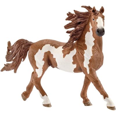 Schleich Stallone Pinto Schleich Stallone Pinto