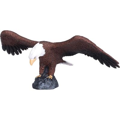 Animal Planet Aquila calva Animal Planet Aquila calva