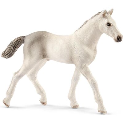 Schleich Puledri di razza Holstein Schleich Puledri di razza Holstein