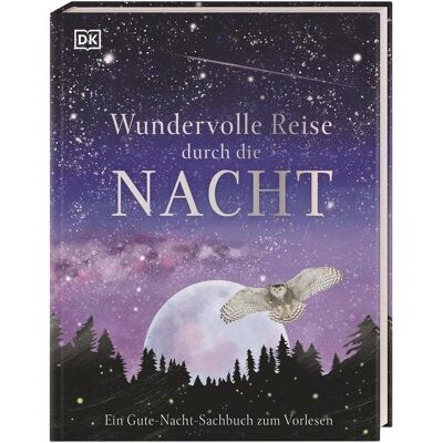 Dorling Kindersley Wundervolle Reise durch die Nacht, Libro per bambini di Birgit Reit Dorling Kindersley Wundervolle Reise durch die Nacht, Libro per bambini di Birgit Reit