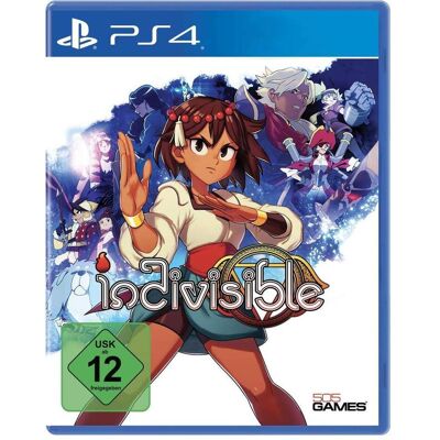 505 Games, Indivisibile 505 Games, Indivisibile