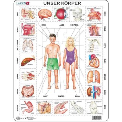 Puzzle del Corpo Umano Larsen - 35 Pezzi Educativi Puzzle del Corpo Umano Larsen - 35 Pezzi Educativi