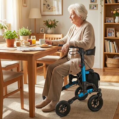 Costway Deambulatore a rotelle per anziani pieghevole con seduta e schienale in rete, Ausilio alla mobilità a 4 ruote con sospensione e accessori integrati Bl Costway Deambulatore a rotelle per anziani pieghevole con seduta e schienale in rete, Ausilio alla mobilità a 4 ruote con sospensione e accessori integrati Bl