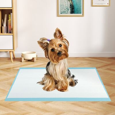Costway Tappetini per animali domestici a 6 strati a prova di perdite, Asciugatura rapida tappetini da interno ed esterno 60 x 43 cm Blu Costway Tappetini per animali domestici a 6 strati a prova di perdite, Asciugatura rapida tappetini da interno ed esterno 60 x 43 cm Blu