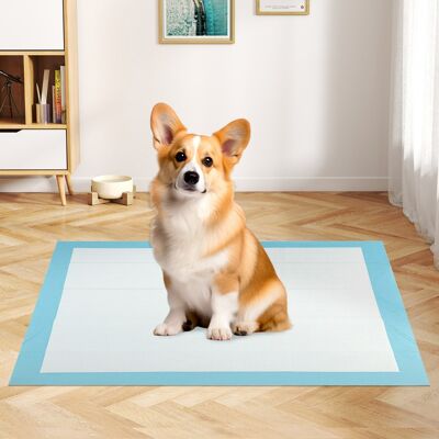 Costway Tappetini per animali domestici a 6 strati a prova di perdite, Asciugatura rapida tappetini da interno ed esterno 90 x 60 cm Blu Costway Tappetini per animali domestici a 6 strati a prova di perdite, Asciugatura rapida tappetini da interno ed esterno 90 x 60 cm Blu