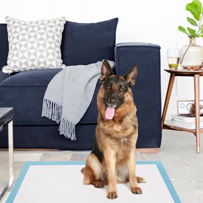 Costway Traverse usa e getta con controllo odore, Traverse con asciugatura rapida per cani gatti conigli 75 x 75 cm Costway Traverse usa e getta con controllo odore, Traverse con asciugatura rapida per cani gatti conigli 75 x 75 cm
