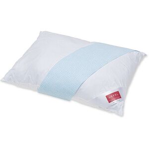 Hefel Cuscino COOL 40x60cm Bianco bianco Hefel Cuscino COOL 40x60cm Bianco bianco