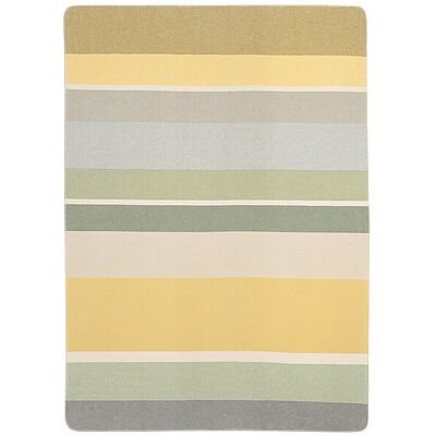BIEDERLACK Stripe Delight Plaid in cotone BIEDERLACK Stripe Delight Plaid in cotone