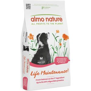 Almo Nature Life Maintenance Adult Medium con Salmone Fresco 12 kg Crocchette per Cani di Taglia Media Almo Nature Life Maintenance Adult Medium con Salmone Fresco 12 kg Crocchette per Cani di Taglia Media