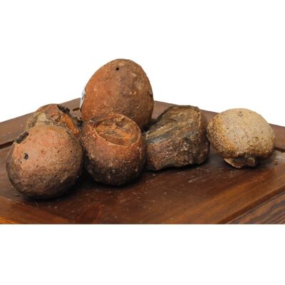1 pezzo Amtra Roccia Pietra Uova di Dinosauro Naturale per Aquascaping Decorazione Acquario 1 pezzo Amtra Roccia Pietra Uova di Dinosauro Naturale per Aquascaping Decorazione Acquario