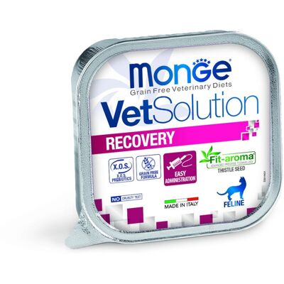 100 g Monge VetSolution Gatto Recovery Alimento Dietetico Completo Cibo Umido per la Ripresa Nutrizionale da Convalescienza con Pollo Grain Free 100 g Monge VetSolution Gatto Recovery Alimento Dietetico Completo Cibo Umido per la Ripresa Nutrizionale da Convalescienza con Pollo Grain Free