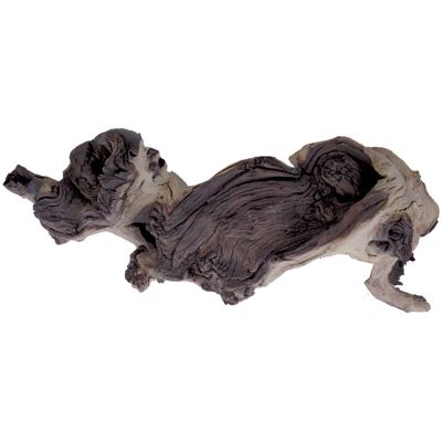 PRODAC TRONCO LEGNO RADICE NATURALE MOPANI PER DECORAZIONE ACQUARIO TERRARIO 40/60 CM PRODAC TRONCO LEGNO RADICE NATURALE MOPANI PER DECORAZIONE ACQUARIO TERRARIO 40/60 CM
