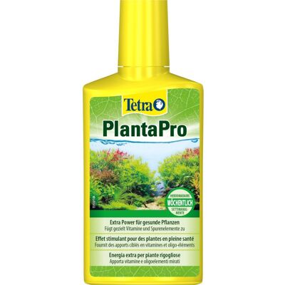 250 ml Tetra PlantaPro Fertilizzante Liquido Rilascia Oligoelementi e Vitamine per la Crescita Sana delle Piante in Acquario 250 ml Tetra PlantaPro Fertilizzante Liquido Rilascia Oligoelementi e Vitamine per la Crescita Sana delle Piante in Acquario