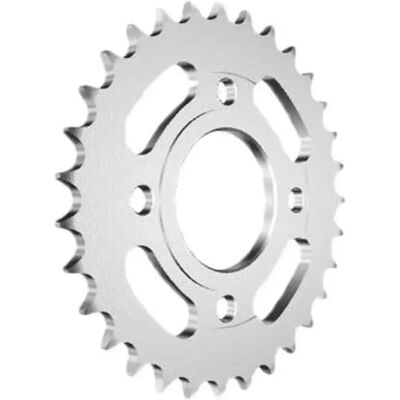 Afam Pignone Posteriore 10218 Silver 31t Afam Pignone Posteriore 10218 Silver 31t