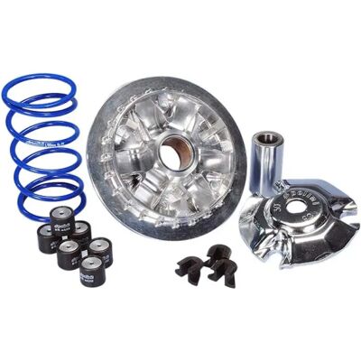 Polini Kit Variatore Hi-speed Yamaha N-max 125-155 Silver One Size Polini Kit Variatore Hi-speed Yamaha N-max 125-155 Silver One Size