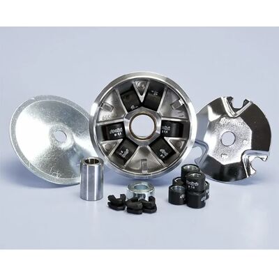 Polini Kit Variatore Piaggio Vespino Alx-delta Black One Size Polini Kit Variatore Piaggio Vespino Alx-delta Black One Size