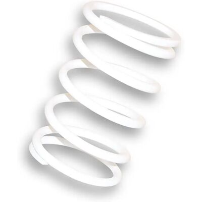 Malossi Molla Del Regolatore Del Variatore Blanco Aprilia Sr 50 White One Size Malossi Molla Del Regolatore Del Variatore Blanco Aprilia Sr 50 White One Size