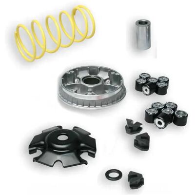 Malossi Kit Variatore Multivar 2000 Kymco Agility 125 4t Silver One Size Malossi Kit Variatore Multivar 2000 Kymco Agility 125 4t Silver One Size