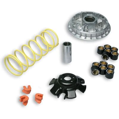 Malossi Kit Variatore Multivar 2000 Kymco X-citing/r 300 4t Silver One Size Malossi Kit Variatore Multivar 2000 Kymco X-citing/r 300 4t Silver One Size