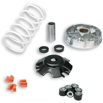 Malossi Kit Variatore Multivar 2000 Runner/extrem/liberty Silver One Size Malossi Kit Variatore Multivar 2000 Runner/extrem/liberty Silver One Size