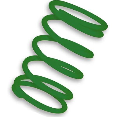 Malossi Molla Del Regolatore Del Variatore Verde Piaggio Typhoon.free Green One Size Malossi Molla Del Regolatore Del Variatore Verde Piaggio Typhoon.free Green One Size