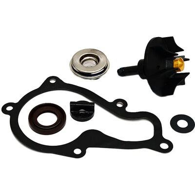 Sgr Kit Di Revisione Della Pompa Dell`acqua Piaggio Beverly 350 Silver One Size Sgr Kit Di Revisione Della Pompa Dell`acqua Piaggio Beverly 350 Silver One Size