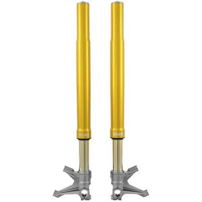 Öhlins Forcella Anteriore Fgr200 Ducati V Panigale 2018-202/vr Panigale 2025 Gold / Silver One Size Öhlins Forcella Anteriore Fgr200 Ducati V Panigale 2018-202/vr Panigale 2025 Gold / Silver One Size