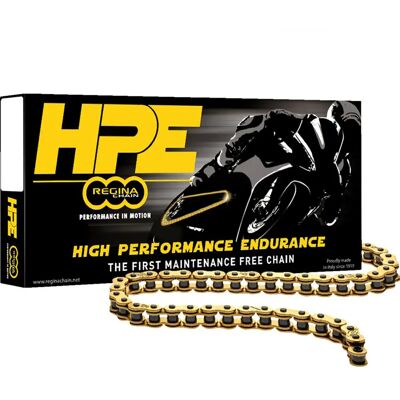Regina Catena 525 Hpe Gold 110 Links Regina Catena 525 Hpe Gold 110 Links