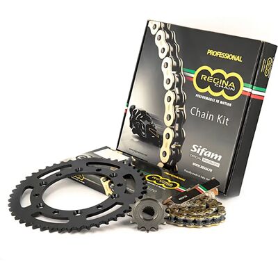Regina Kit Di Trasmissione Yamaha Yzf 1000 R1 95y10008-reg530zrp Natural One Size Regina Kit Di Trasmissione Yamaha Yzf 1000 R1 95y10008-reg530zrp Natural One Size