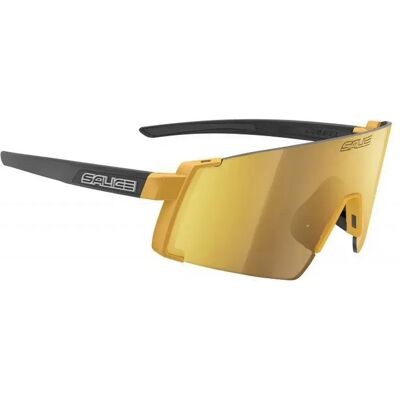 Salice Occhiali Da Sole 027 Rw Gold Rw Gold/CAT3+Clear/CAT0 Salice Occhiali Da Sole 027 Rw Gold Rw Gold/CAT3+Clear/CAT0