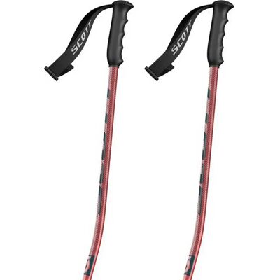 Bastoni Scott Team Issue Gs Argento - Bastoni da Sci Bastoni Scott Team Issue Gs Argento - Bastoni da Sci