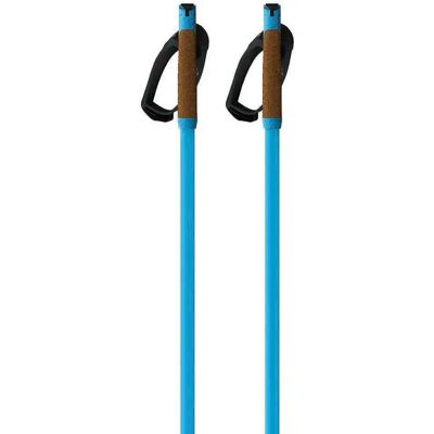 Fischer Bastoncini Storm Gtx L Blue 170 cm Fischer Bastoncini Storm Gtx L Blue 170 cm