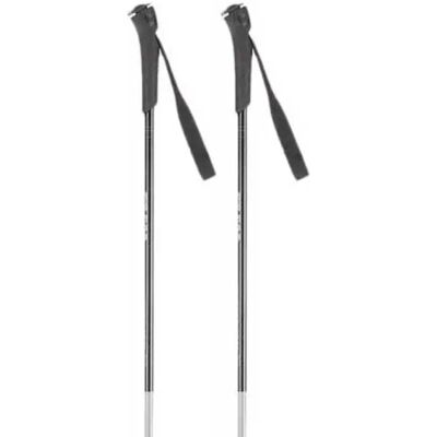 Rossignol Bastoncini Ft-500 Grey 135 cm Rossignol Bastoncini Ft-500 Grey 135 cm